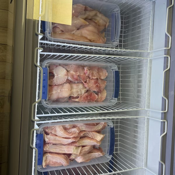 Three clear containers of raw fish fillets and steaks stacked inside a freezer.
