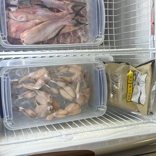 Frozen fish fillets and frog legs in plastic containers inside a freezer, with a bag of "Bay Winds" seafood.