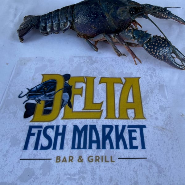 A large, dark blue crawfish rests on a white surface with the "Delta Fish Market" logo.